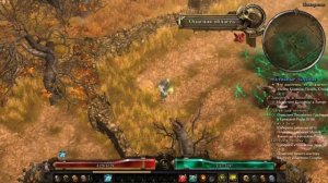 Grim Dawn | Оккультист, обзор