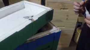 Новинки в пчеловодстве Долой кирпичи на пасеке авч
