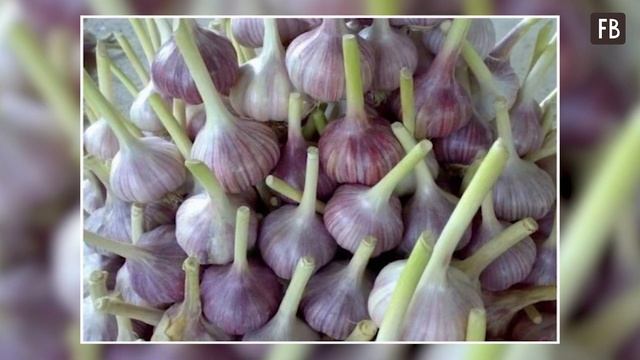 Теперь я знаю, как чеснок хранят по-умному, и этих ошибок не повторю. смотреть онлайн