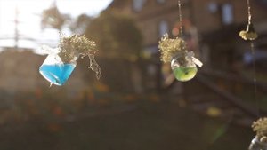 свадьба +на финском заливе