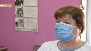 Чипирование собак