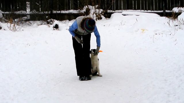 Первые шаги к движению рядом. Lumos solem Vilka смотреть онлайн