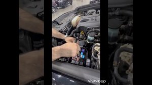 Программирование смарт ключа на тойота прадо 2018г и отключение дополнительного иммобилайзера Цезар