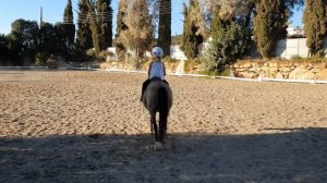 Урок ВЕРХОВОЙ ЕЗДЫ на ЛОШАДИ || Рысью на ПОНИ ТЭННЕСИ || видео с лошадками