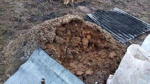 Куда деть птичий помет // продажа птичьего помёта //