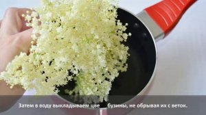 Компот из цветков бузины