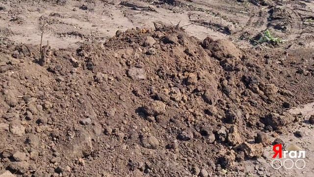 Отсыпка суглинком 1500 м3 (д. Посохово) смотреть онлайн