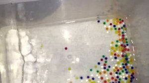 Выращиваем Шарики Орбис Orbeez Часть 1