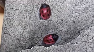 Рисую божьих коровок. Оживляю вчерашнюю фактуру.