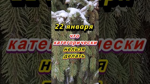 22 января народный праздник Филиппов день. Что категорически нельзя делать. Народные приметы