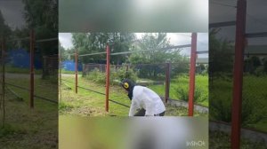 #7 Ремонт и Преображение Дачи🏠Делаем грядку под зелень 🥬