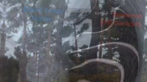 Как правильно водить гюнтер ? | DayZ | #PARADISE