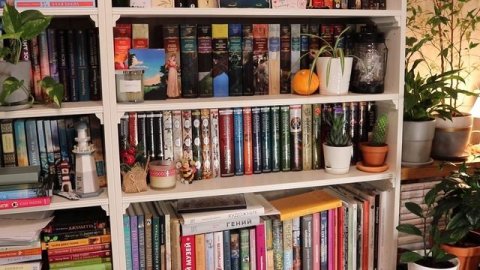 ??мои КНИЖНЫЕ ПОЛКИ// ?показываю мою библиотеку// ?️организация на КНИЖНЫХ ПОЛКАХ