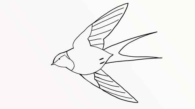 Как нарисовать Деревенскую Ласточку (How to draw Barn Swallow) смотреть онлайн