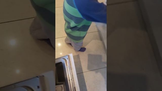 עצמאות ילדים. מדיח כלים смотреть онлайн