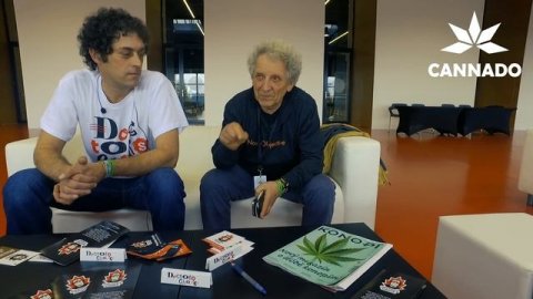 Обзор Doctor's Choice от Саши Доктора