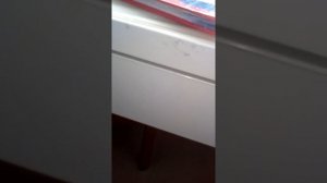 Почему хомяк не бегает в шаре?