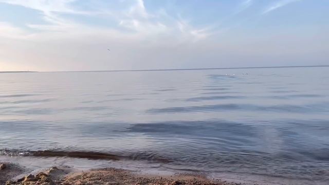 ЛАНДШАФТНЫЙ ДИЗАЙН СВОИМИ РУКАМИ. МОЩЕНИЕ. ГАЗОНЫ.
