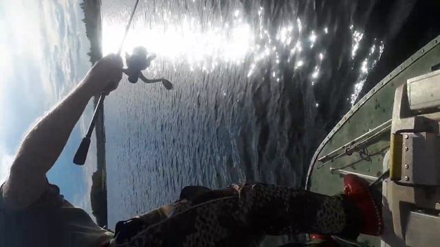 Трофейная рыбалка на Крайнем севере на Ямале в горной реке Собь. Щука-монстр.