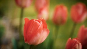 Аффирмация для женщин – магия женской энергии. Осознай свою красоту!