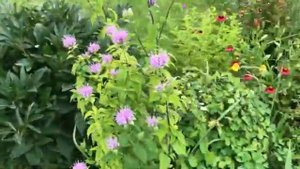 Работа в огороде часть 7