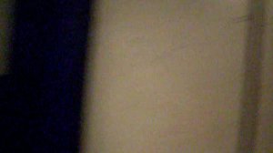 Электрический лифт V=0.71 м-с, грузоподъемность 320 кг (153)