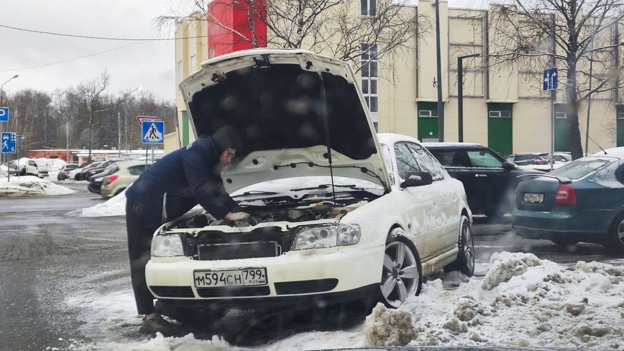 Бэлла сломалась (((