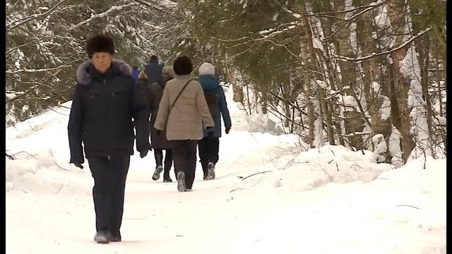 Неприятный запах и затопленные лесные тропинки омрачают отдых любителям зимних прогулок в Череповце смотреть онлайн