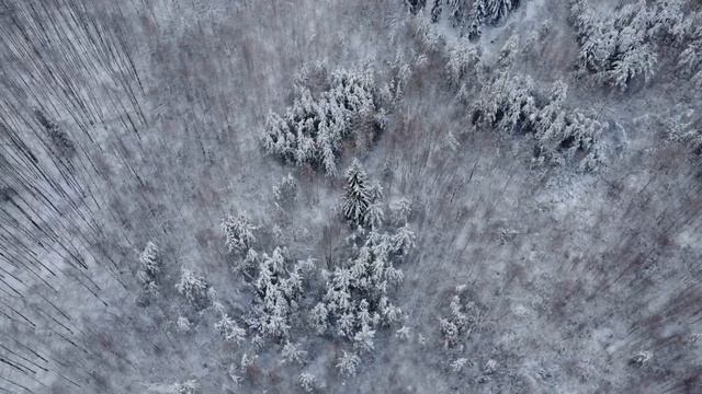 Свято-Введенская островная пустынь ?? Владимирской области. смотреть онлайн