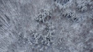 Свято-Введенская островная пустынь ?? Владимирской области.