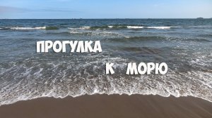 Прогулка к морю, Владивосток