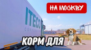 Груз в Москву / Корм для собак / Работа в Итеко