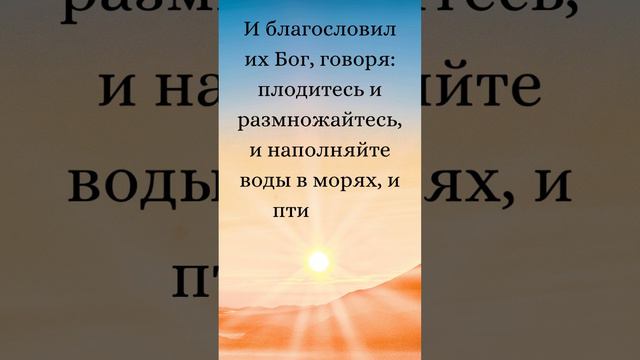 Бытие 1:22-23 (Русская Синодальная Библия) #библия #писание #русскаясинодальнаябиблия #бытие