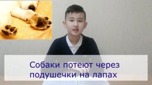 Мир вокруг нас