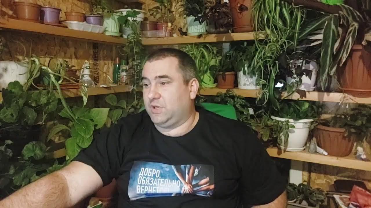 Продолжаем помогать