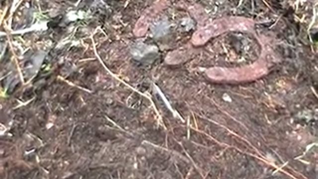 Красноармейская помойка под Вязьмой