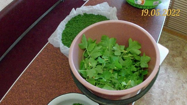 Заготовка чёрной смородины на чай. Фиточай из листьев и цветов чёрной смородины