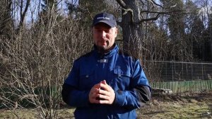 как избавиться от (уничтожить) кротов на участке