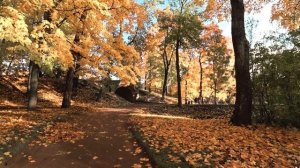 Middle autumn in the Saint Petersburg ( Pushkin ). Cinematic video. sony as300 / sony x3000