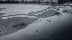 Первый снег... Николай Рубцов