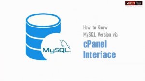 How to find MySQL version through cPanel interface? [EASY GUIDE]☑️