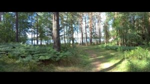 Крестецкий район Новгородской области (48:9)