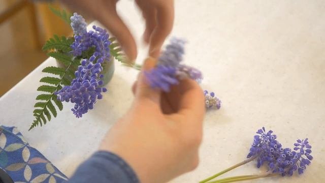 【感動】知ってるつもり？ムスカリと人の関わり【人類最古】死者に捧げる花🌸花にも歴史あり📝お庭に咲いているよね？