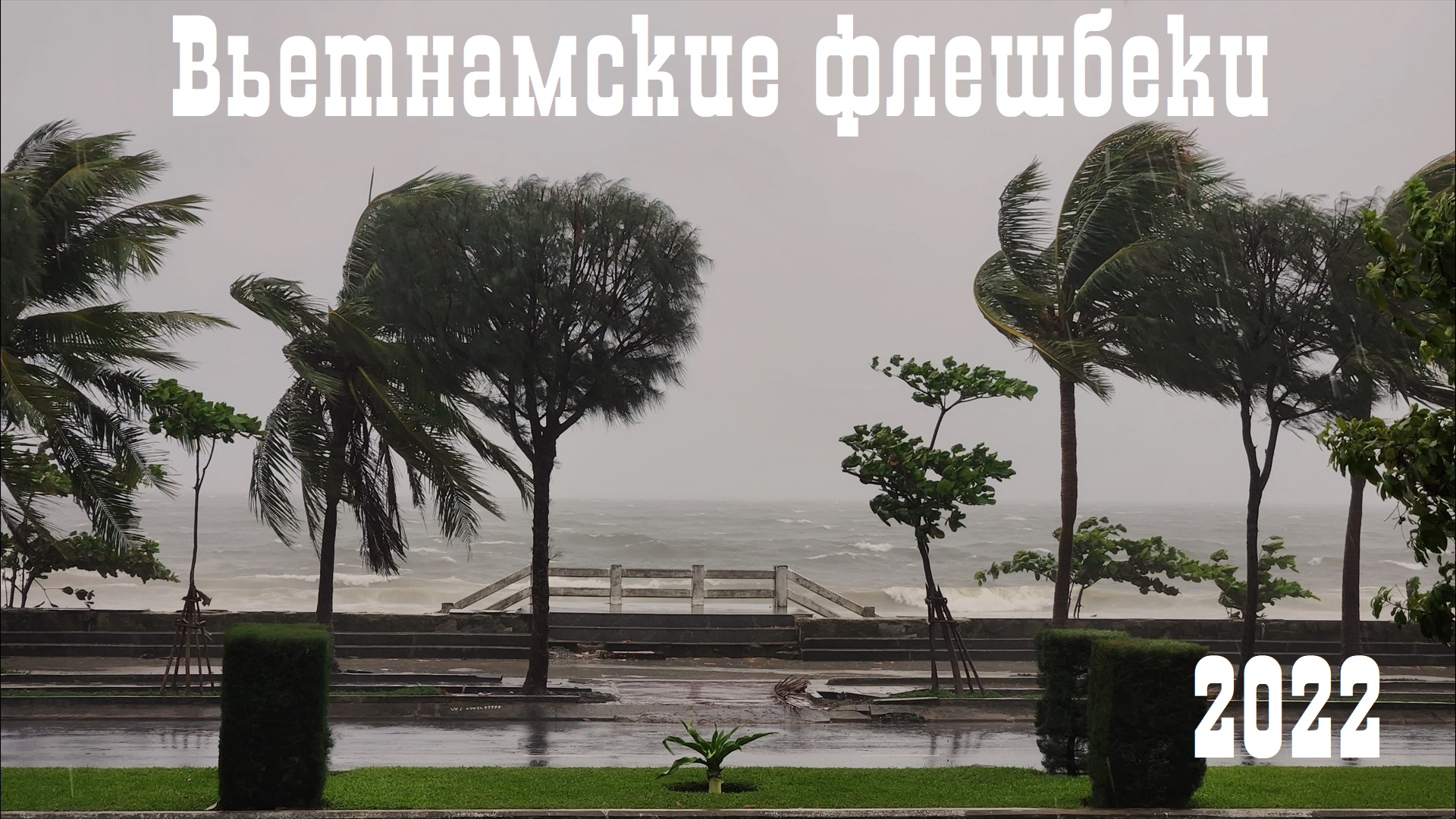 Вьетнамские флешбеки 2022 (Vietnamese flashbacks)