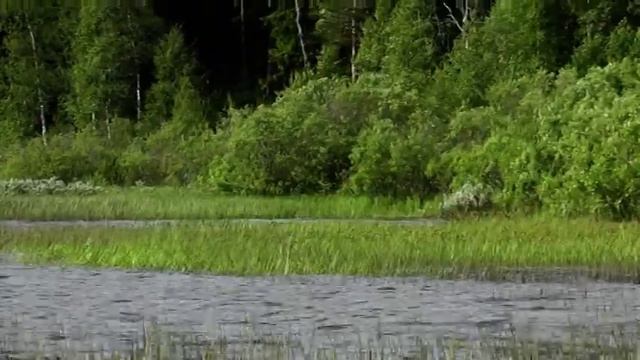 Лето, озеро Ройка, сани MXZ TNT 550 SS смотреть онлайн