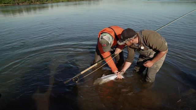 King Salmon on the Spey | Togiak, Ak смотреть онлайн