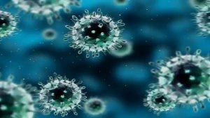 Одноклеточные и многоклеточные организмы (рассказывает биолог Евгений Шеваль)