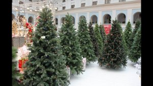 Царь елка - Русская красавица премиум