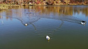 Артёмовский парк Озёра