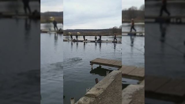 рыбалка рыбалка в подмосковье форель ловля форели суперкарп белеутово fishing trout troutfishing